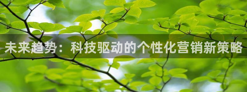 金年会网站登录