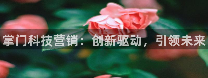 金年会入口登录