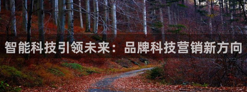 金年会官方网站入口登录网