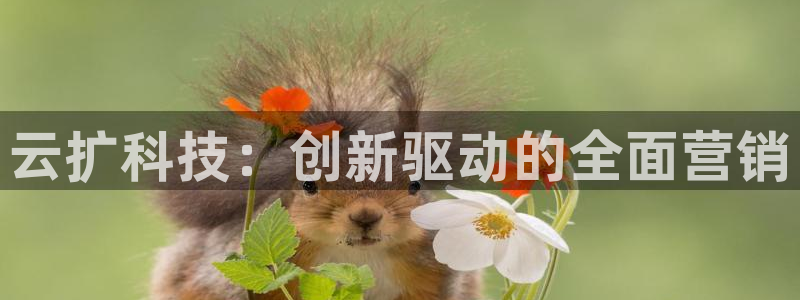 金年会官方网站入口登录网