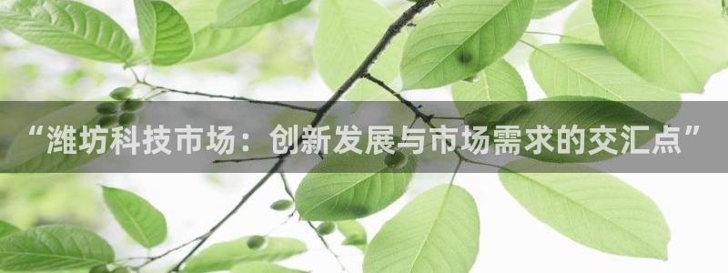 金年会体育手机app下载官网苹果
