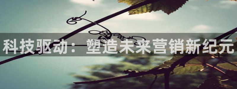 金年会网址导航