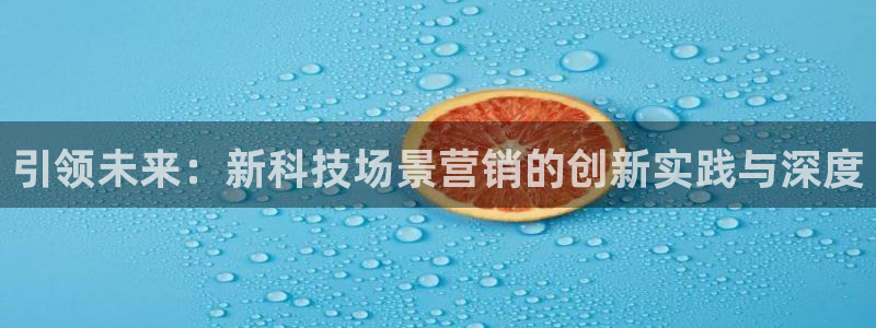 金年会体育app最新官网入口