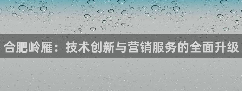 金年会官方入口APP