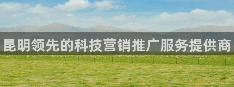 金年会网站被拒绝出款怎么处理?