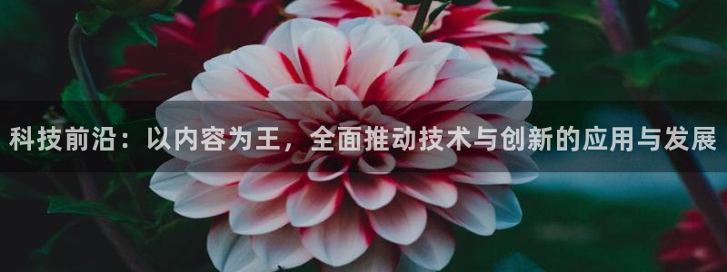 金年会金字招牌是什么意思