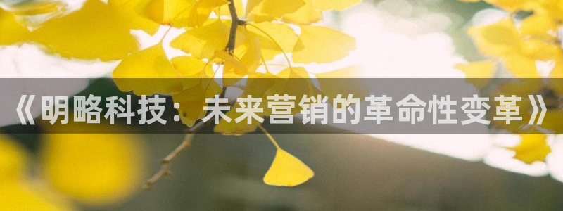 金年会体育苹果下载app